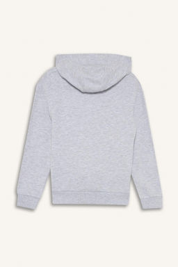 Kap__onlu Bask_l_ Sweatshirt Erkek _ocuk - Defacto фото 2