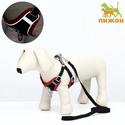 Комплект Sport+, S, поводок 120 x1 ,5 см, ОШ 39-41 см, ОГ 44-48 см, вес животного 7-13 кг, чёрный 9