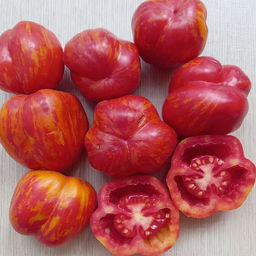 7062T Томат Полосатая пещера 10шт