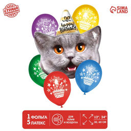 Набор воздушных шаров «С Днём Рождения», котик, латекс, фольга, 6 шт.