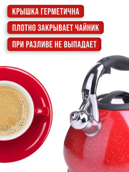 28555 Чайник 3,4л нерж/сталь со свистком MB (х12) - Mayer&boch фото 11