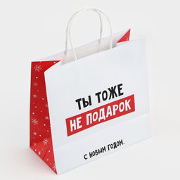 Пакет подарочный новогодний «Ты тоже не подарок», 22×22×11 см