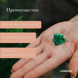 Цена за 2 шт. Клипса для растений Незабудка, набор 10 шт., зелёный, Greengo фото 2