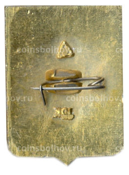 Значок Владимир