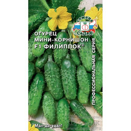 Огурец Филиппок F1 0,3г (СеДеК)