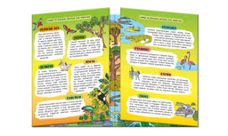 Книжка-картинка для детей. Серия Найди, покажи, узнай арт. 59042 ЖАРКИЕ СТРАНЫ - Феникс+ фото 2