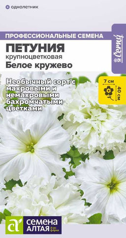 Цветы Петуния Белое кружево низкорослая крупноцветковая/Сем Алт/цп 7 шт. НОВИНКА