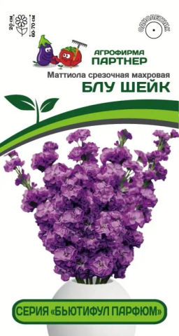 Маттиола срезочная махровая Бьютифул Парфюм Блу Шейк