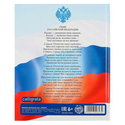 Дневник универсальный для 1-11 классов, «Символика-5», твердая обложка 7БЦ, глянцевая ламинация, 40 листов