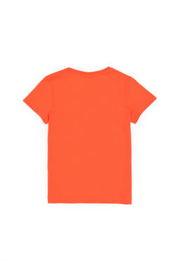 Базовая футболка с цветком граната для мальчиков Неожиданная скидка в корзине - U.s. polo assn фото 2