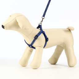 Комплект Спорт светоотражающий, поводок 120 х 1 см, ОГ 23-35 см, синий - Пижон фото 4