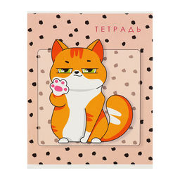 Комплект тетрадей из 5 штук, 48 листов в клетку Calligrata «Коты», обложка мелованный картон, блок офсет