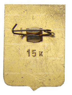 Значок Устюжна