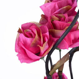 Сухоцвет набор 5 штук 150 см Роза / 18-16 /уп 100/ - ГалеонТрейд фото 5