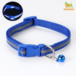 Ошейник двухслойный с фастексом и светоотражающей полосой, 30 х1,5 см, синий