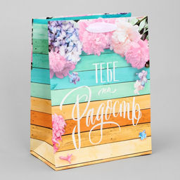 Цена за 2 шт. Пакет подарочный ламинированный, упаковка, «Тебе на радость», MS 18×23×8 см