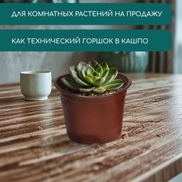 Цена за 40 шт. Горшок для рассады, 700 мл, d=12 см, h=9.5 см, мягкий пластик, терракот, Greengo  фото 5