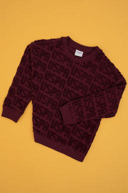 Erkek _ocuk Bordo Bisiklet Yaka Sweatshirt