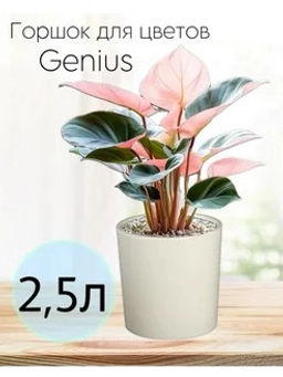 Горшок для цветов 2,5л d157 h156мм молочный Genius
