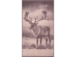 Полотенце махровое 6с103.412ж1 Фото-олень(т.с.мальв1) 50х90см