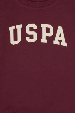 Erkek _ocuk Bordo Basic Bisiklet Yaka Sweatshirt Sepette S_rpriz _ndirim - U.s. polo assn фото 3