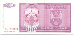 Банкнота 5000 динаров 1992 года Босния и Герцеговина