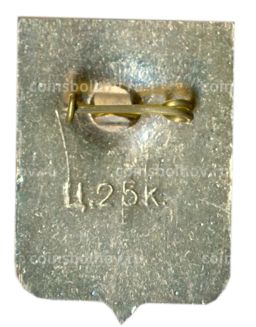 Значок Шарья