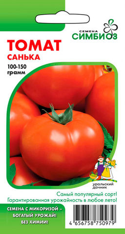 Томат САНЬКА  Ультраранний! Мясистый! Любимец семьи! Не требует особого ухода! Гарантированная урожайность в любое лето! - Уральский дачник фото 4