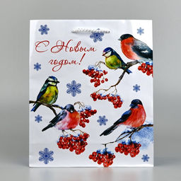 Цена за 2 шт. Пакет подарочный новогодний ламинированный «Снегири», ML 21×25×8 см