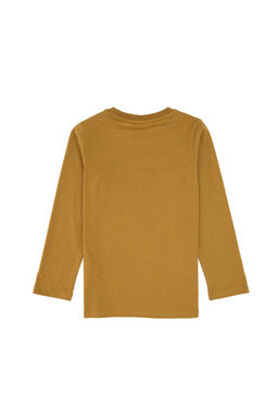 Erkek _ocuk Hardal Bisiklet Yaka Sweatshirt - U.s. polo assn фото 2