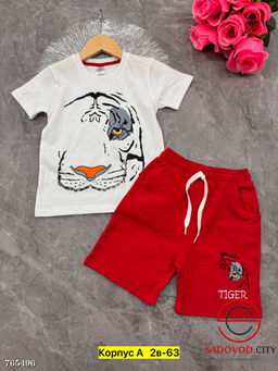 Летний костюм двойка для мальчика