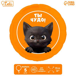 Воздушные шары фольгированные 18 «Котик. Ты чудо», 5 шт.