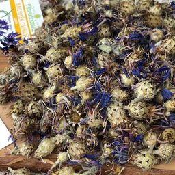 Василёк синий (цветы) - Мариславна фото 2