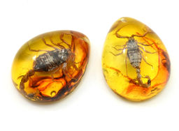 Кулон из янтаря искусственного капля 43*55мм Скорпион, цв.коньячный