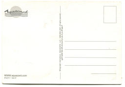 Открытка Водолаз фотографирует рыбку (Aquacard)