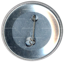 Значок Семеновице- Слонске -2010 Чемпионат по хоккею среди юношей (Польша)