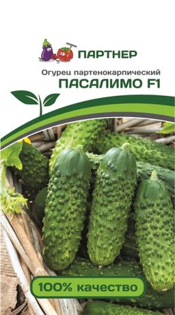 Огурец партенокарпический Пасалимо