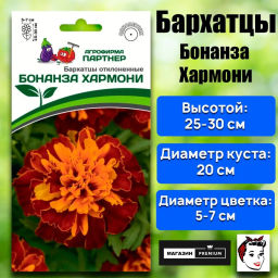 Бархатцы отклоненные Бонанза Хармони - Партнер фото 2
