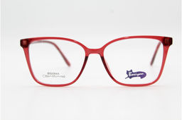Оправа Bosiyan 2064 53-17-142 C4 с насадкой Polarized