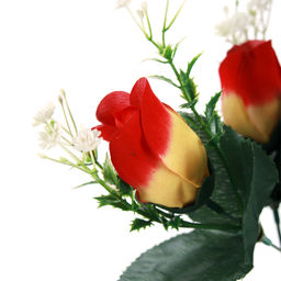 Сухоцвет набор 5 штук 120 см Роза / 1810-13 /уп 140/А - ГалеонТрейд фото 6