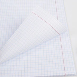 Предметная тетрадь, 48 листов, ПЕРСОНАЖИ, со справочными материалами Физика, обложка мелованный картон 230 гр., внутренний блок в клетку 80 гр., белизна 96% - Artfox study фото 5