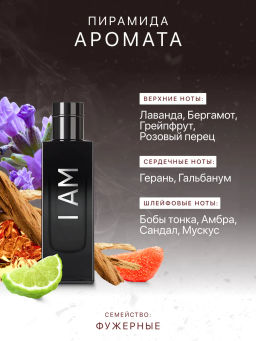 Dilis I AM Парфюмерная вода для мужчин 75 мл фото 3