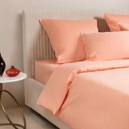Постельное белье Моноспейс 2сп Max + 4 наволочки, персиковый