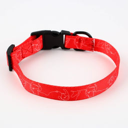 Ошейник One line, застёжка - фастекс, 2 см 25-40 см - Пушистое счастье фото 6