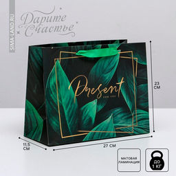 Цена за 2 шт. Пакет подарочный ламинированный, упаковка, «Present for you», ML 27×23×11.5 см