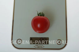 Томат Барух F1 - Партнер фото 3