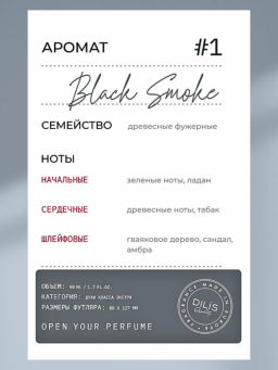 Dilis Black Smoke Духи экстра Dilis Niche Collection для мужчин 50 мл  фото 3