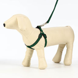 Комплект амуниции рельефный, поводок 120 х 1,5 см, ОГ 36-49 см, зелёно-чёрный - Пижон фото 3