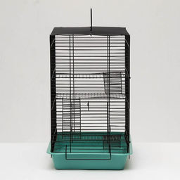 Клетка для грызунов Пижон №9, с 3-я этажами, без наполнения, 33 х 24 х 38 см, бирюзовая  фото 2