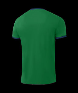 Футболка волейбольная JOGEL CAMP, зеленый  фото 3